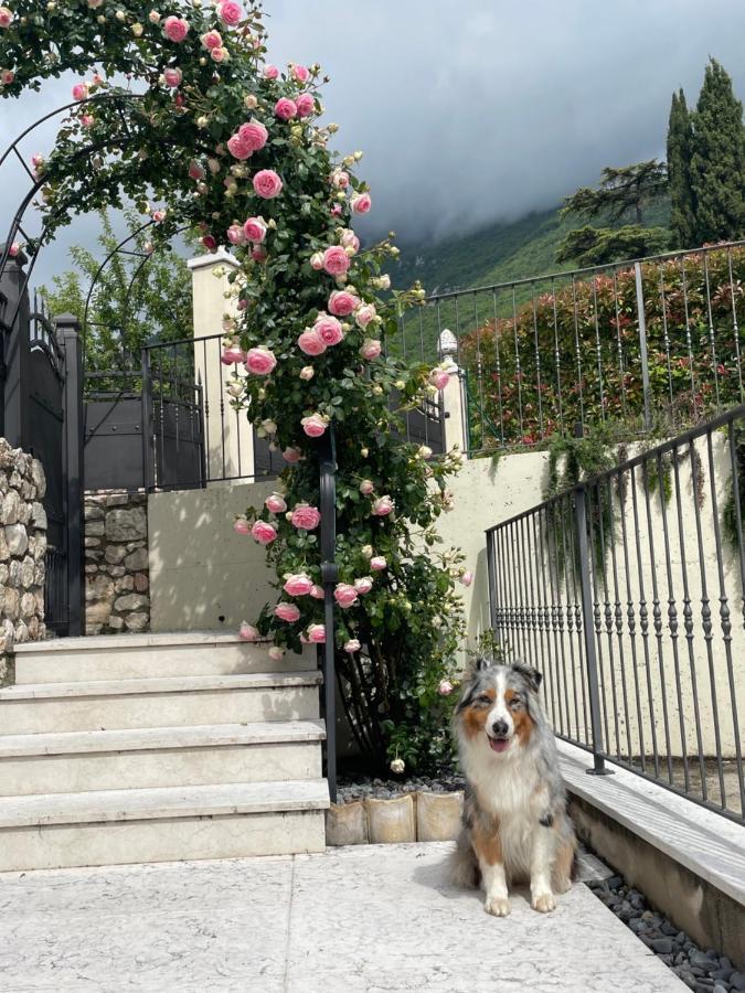 Corte Caiar Bed&Breakfast Caprino Veronese Exterior photo