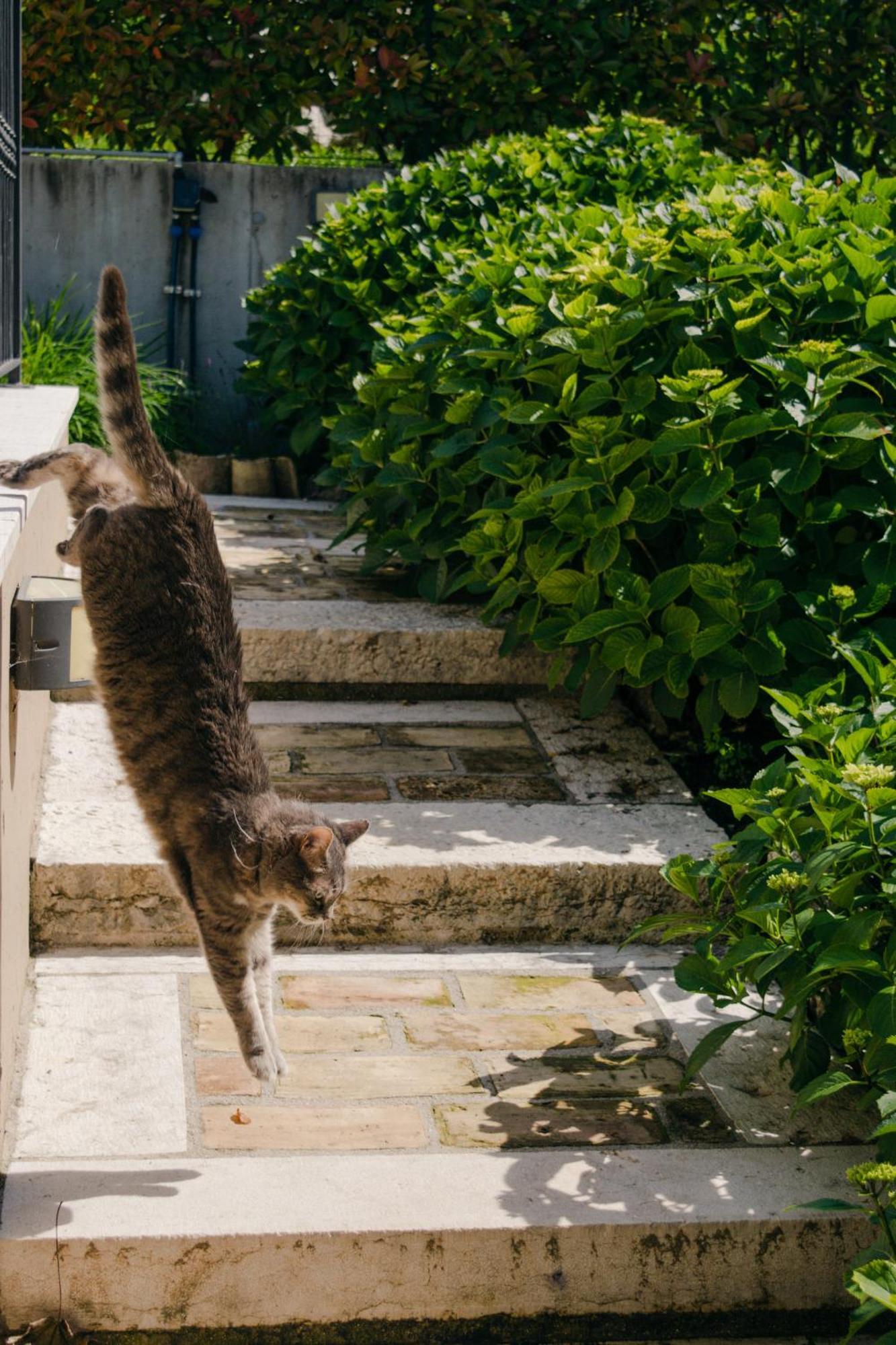 Corte Caiar Bed&Breakfast Caprino Veronese Exterior photo